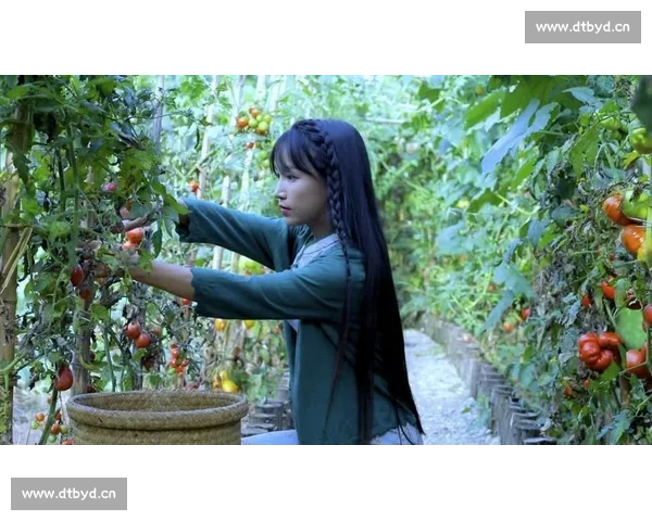 李子柒:从田园生活到全球文化传播的美丽蜕变之路